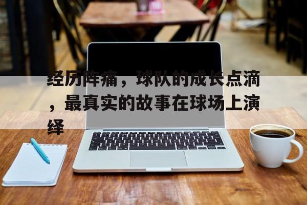 包含经历阵痛，球队的成长点滴，最真实的故事在球场上演绎的词条